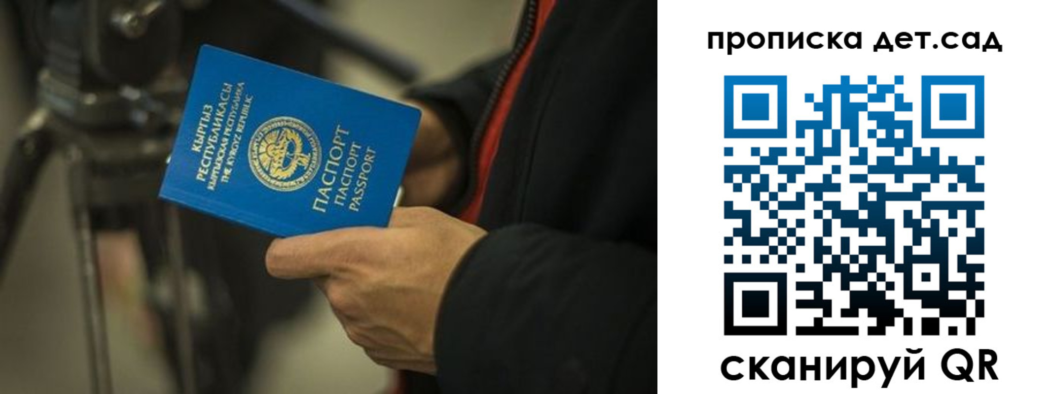 прописка поиск в Зеленоградске